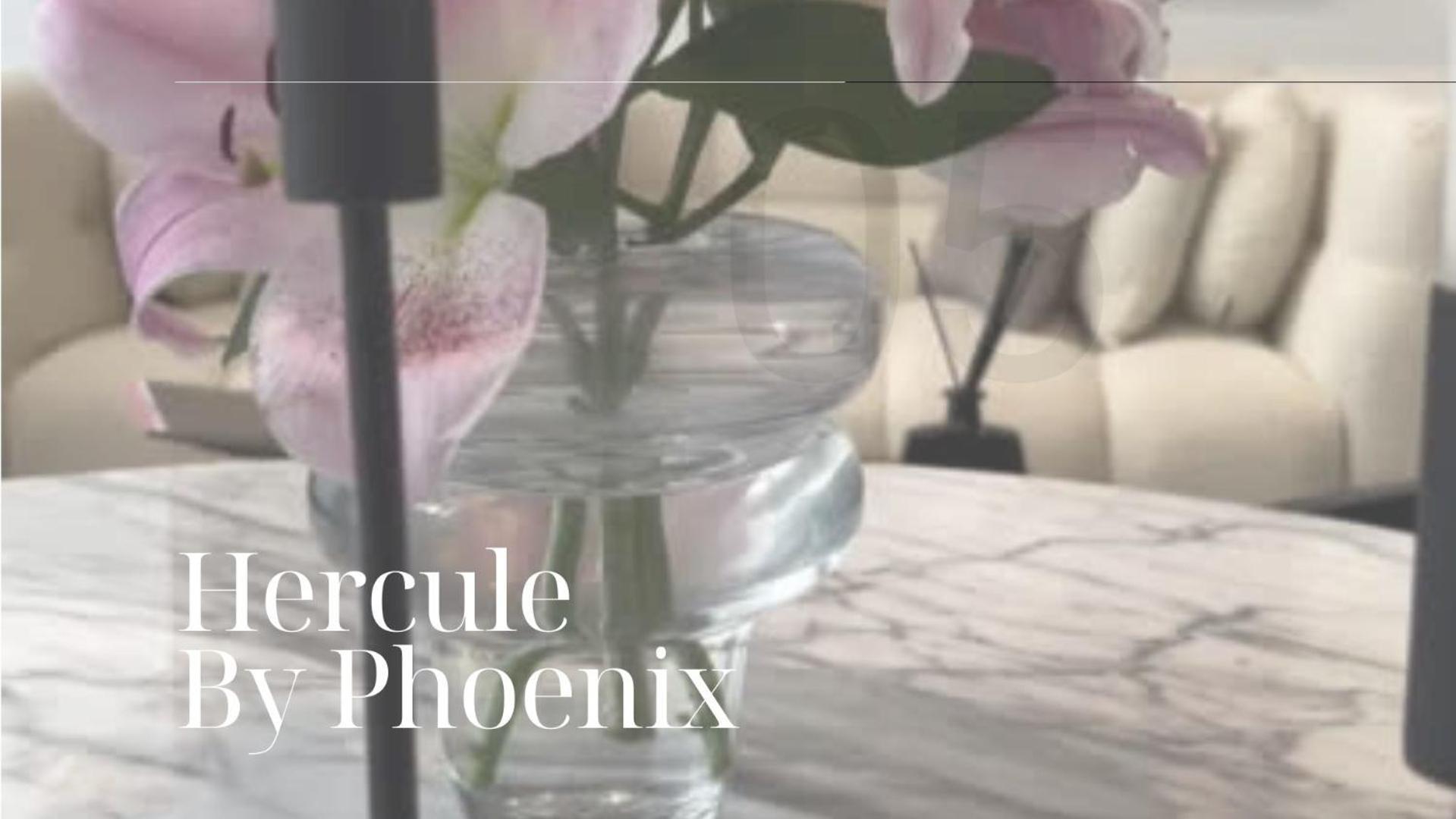 Apartma Phoenix Garden Mons